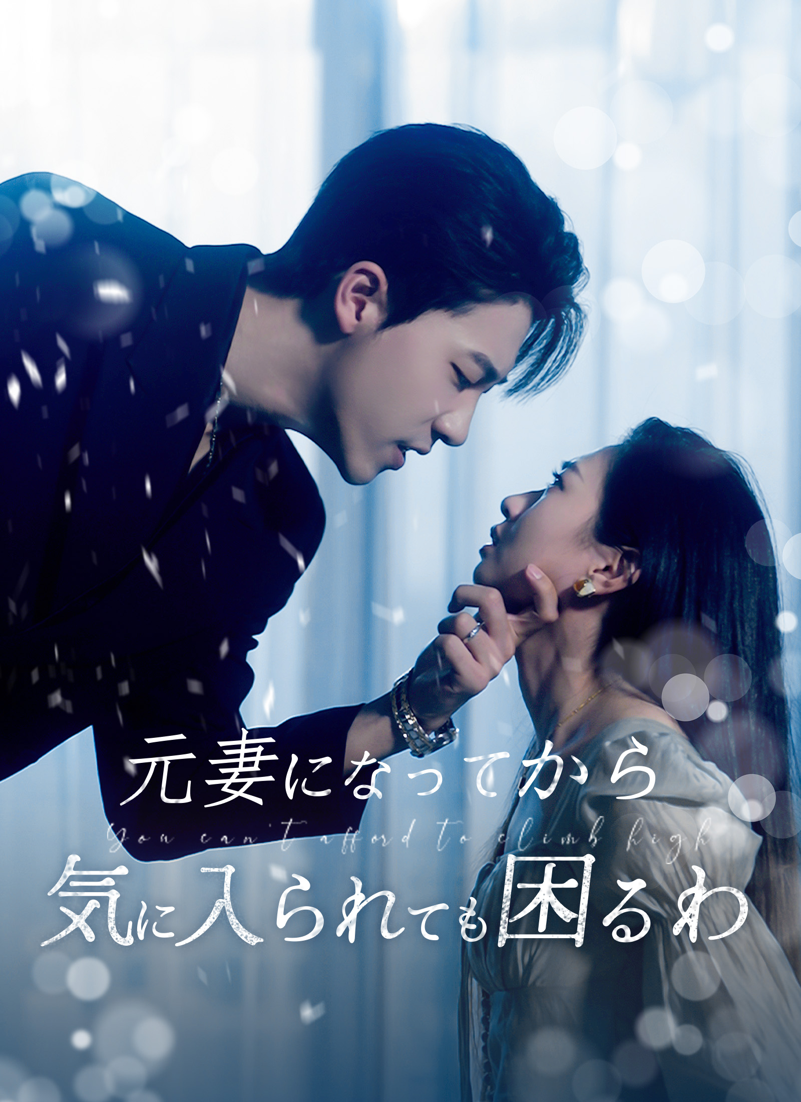 元妻になってから気に入られても困るわ