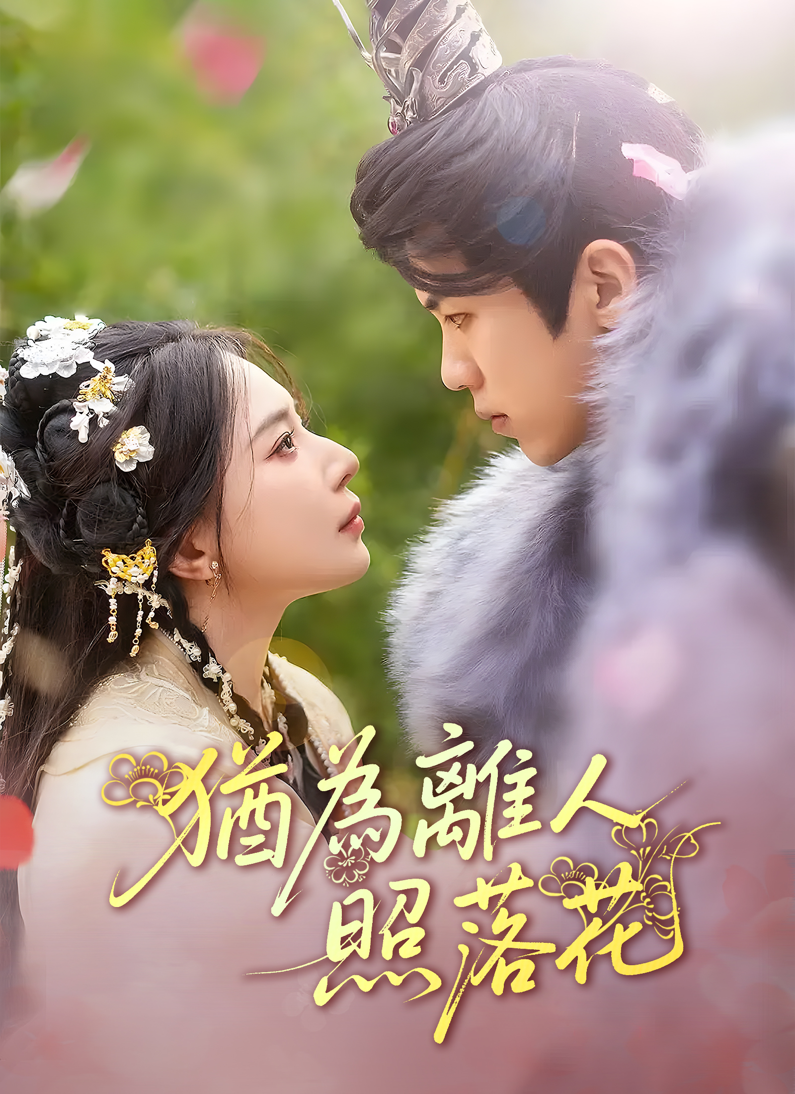 猶爲離人照落花