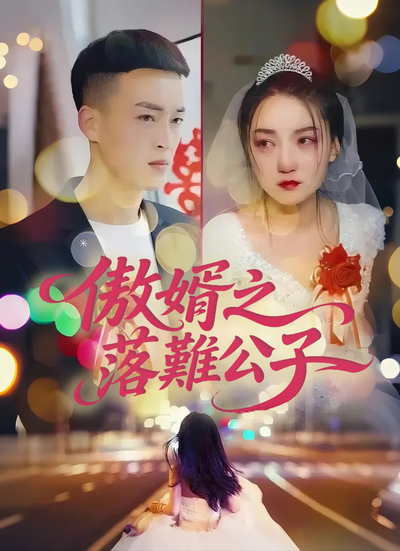 傲婿之落難公子