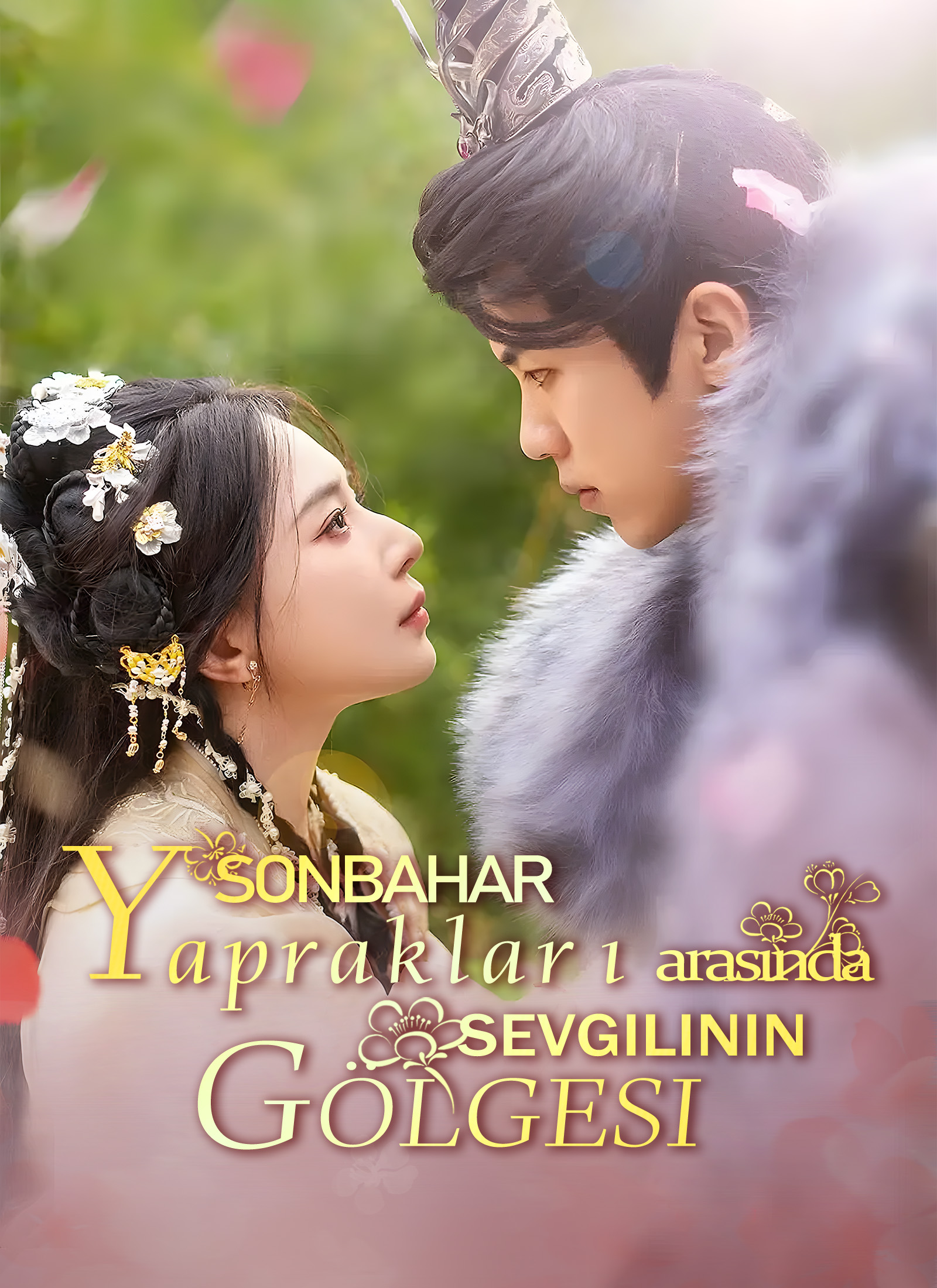 Sonbahar yaprakları arasında sevgilinin gölgesi