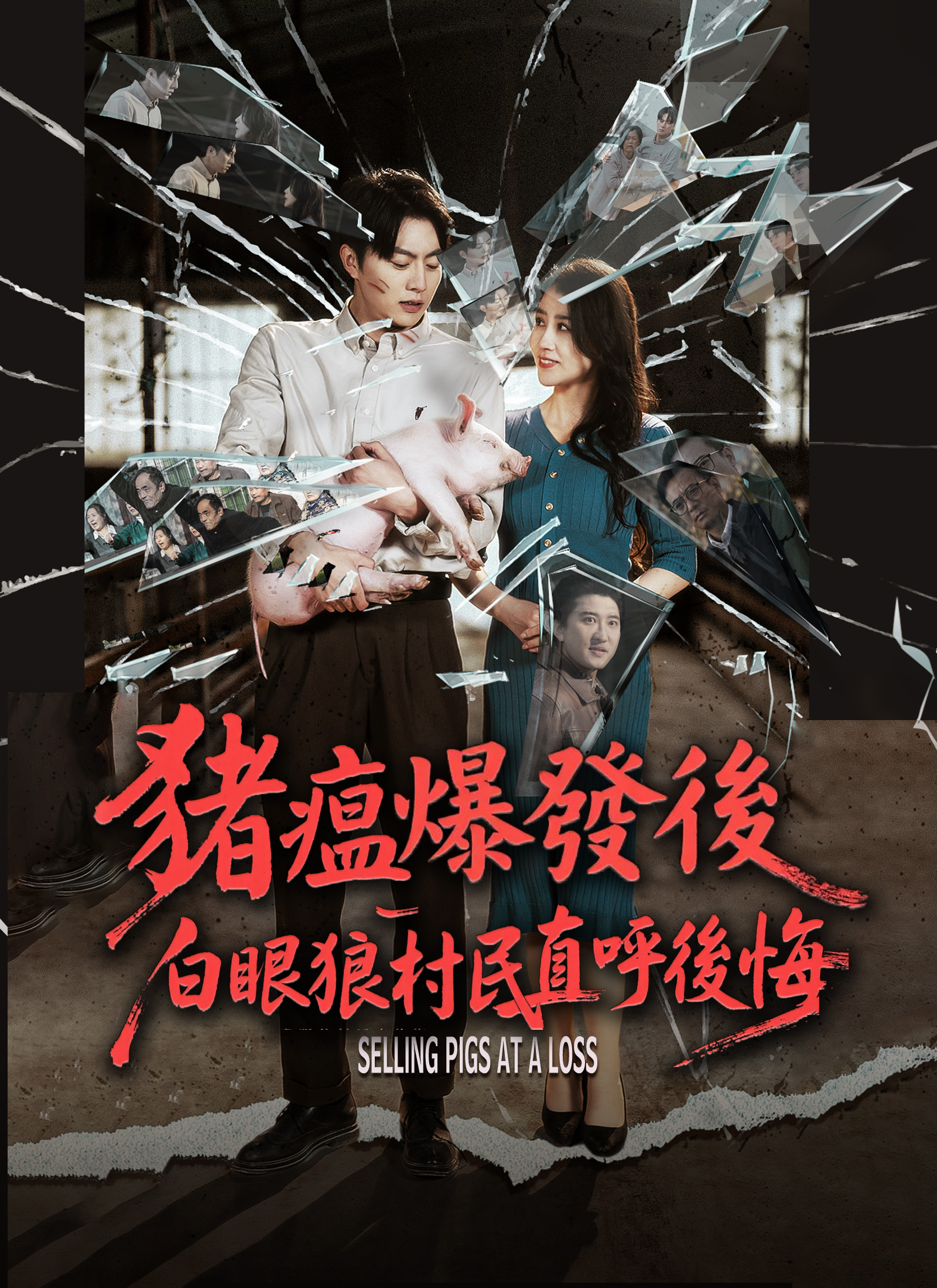 豬瘟爆發後，白眼狼村民直呼後悔