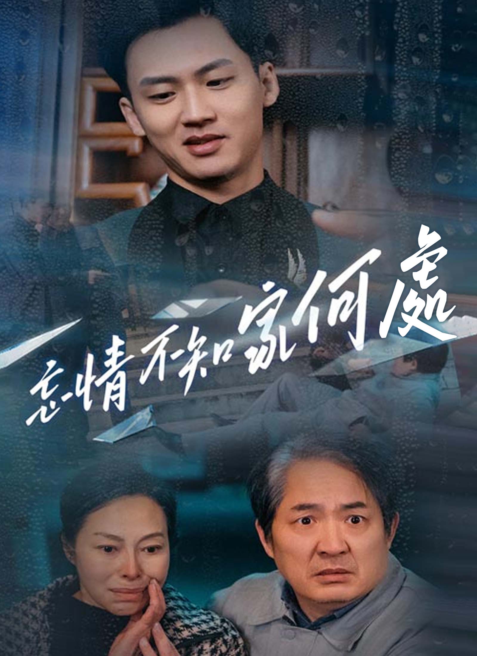 忘情不知家何處