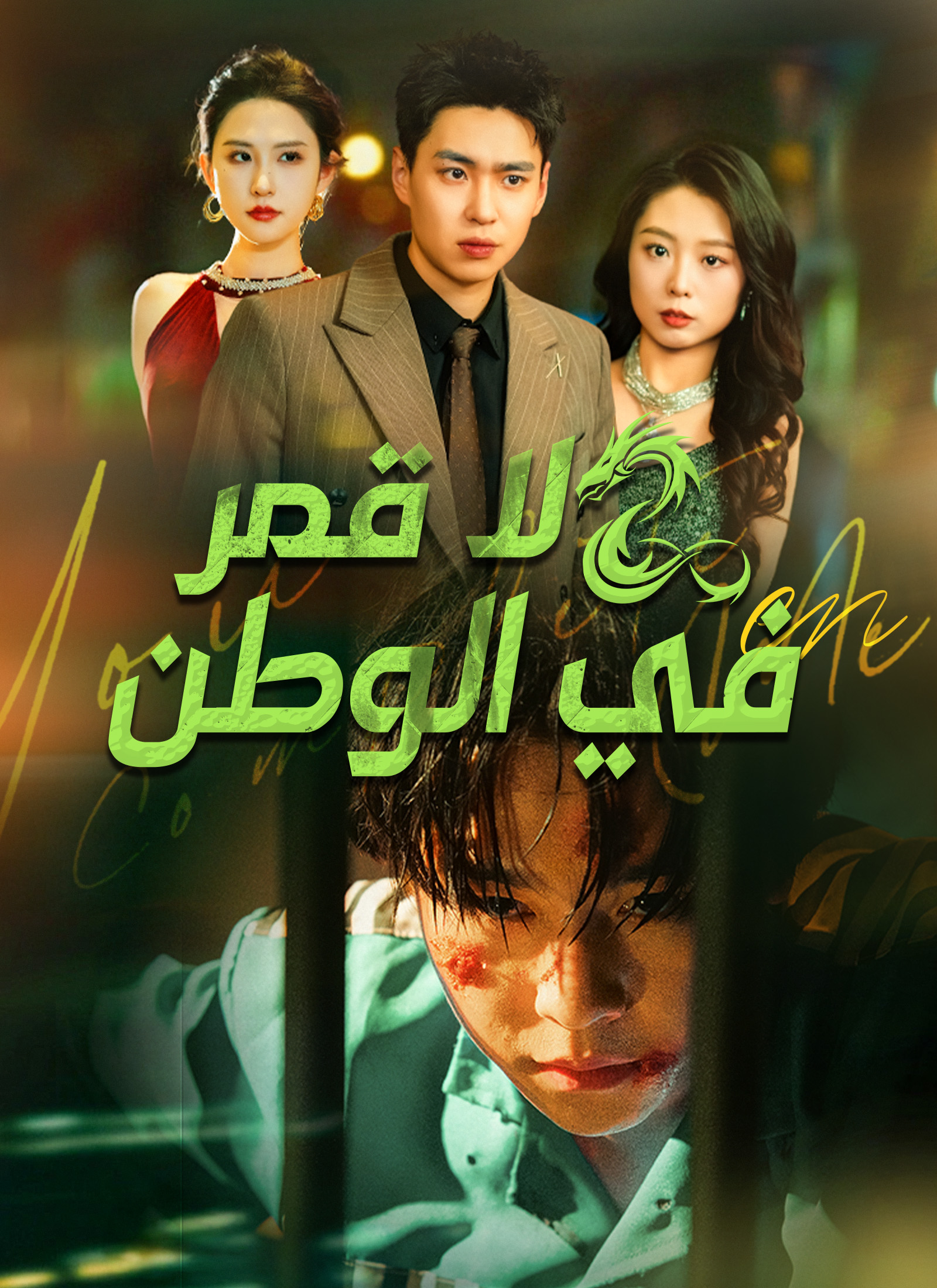 لا قمر في الوطن [مدبلج]