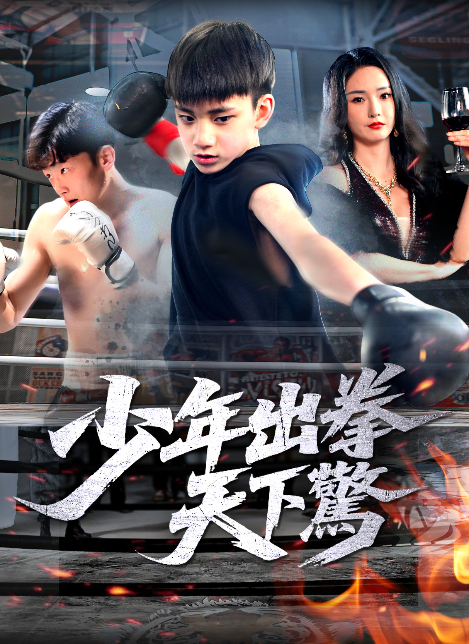 少年出拳天下驚