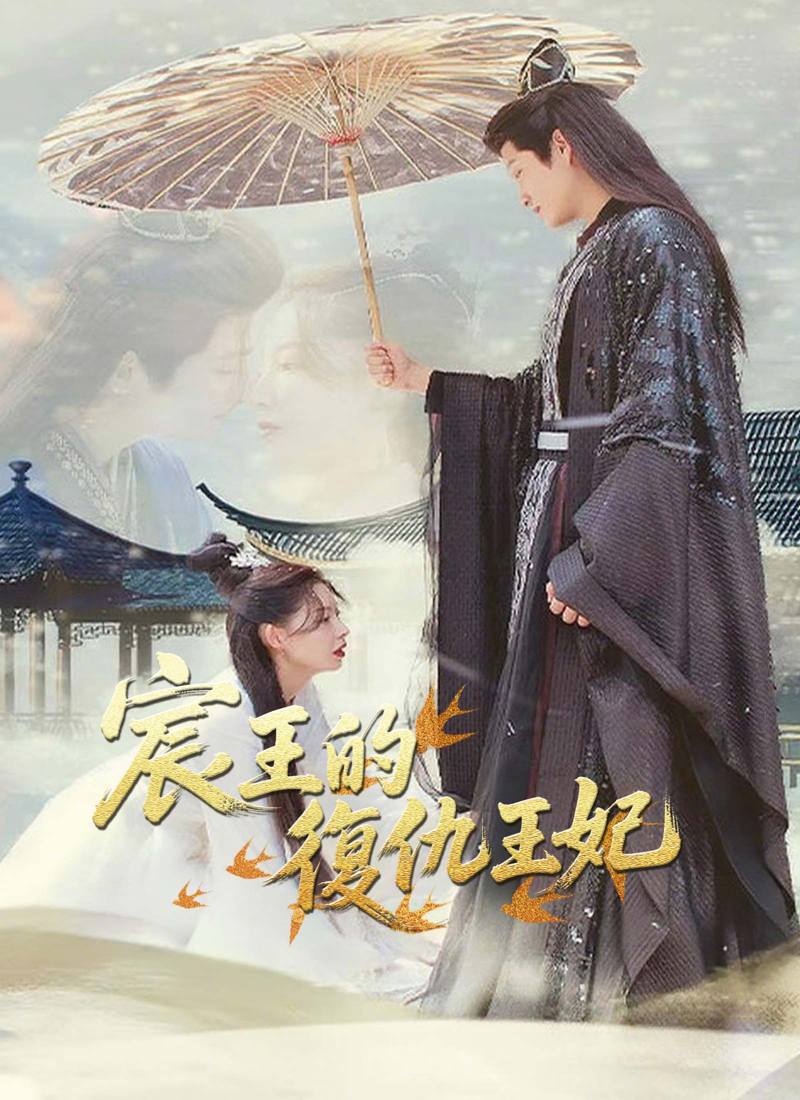 宸王的復仇王妃