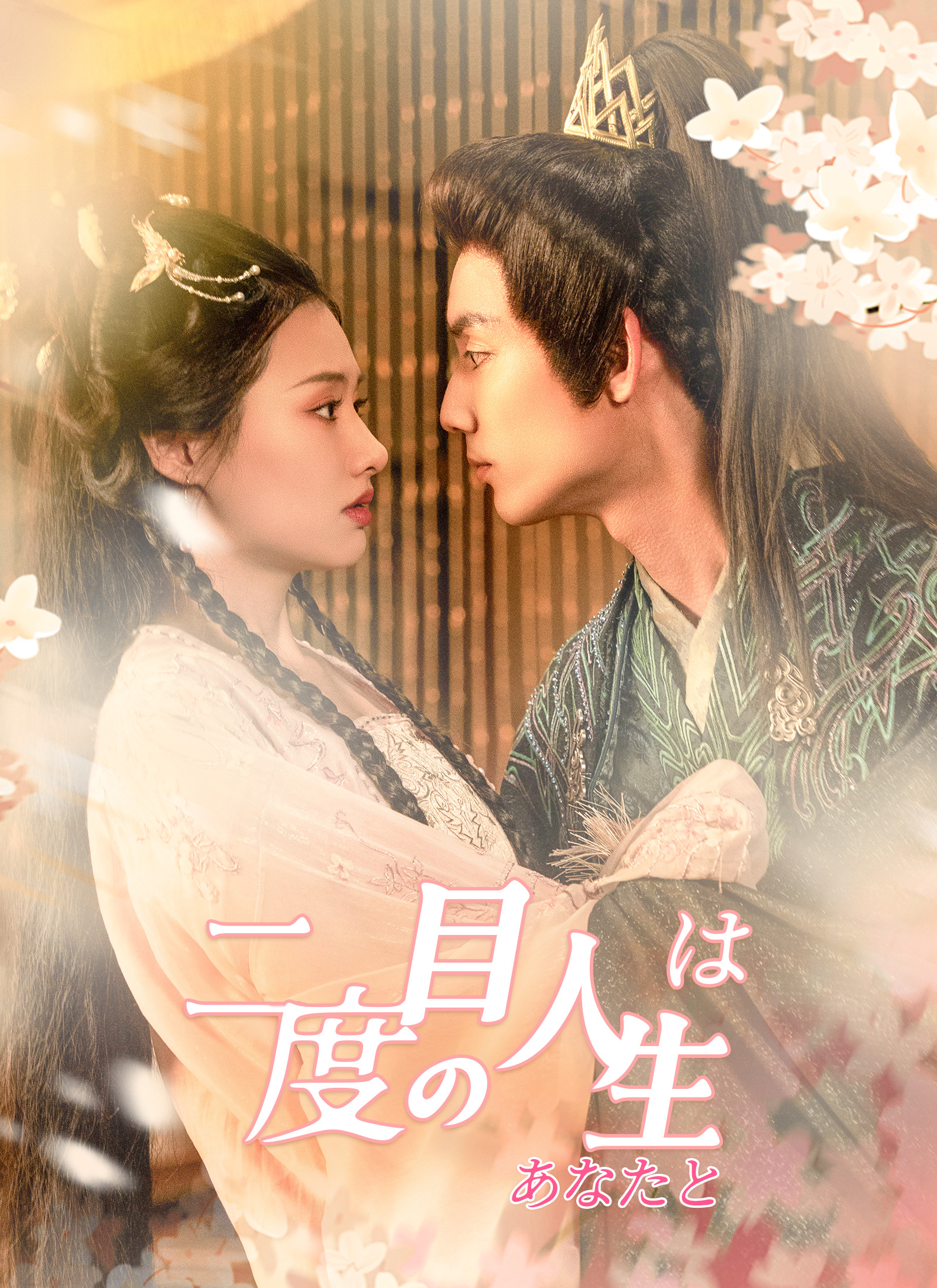二度目の人生は、あなたと