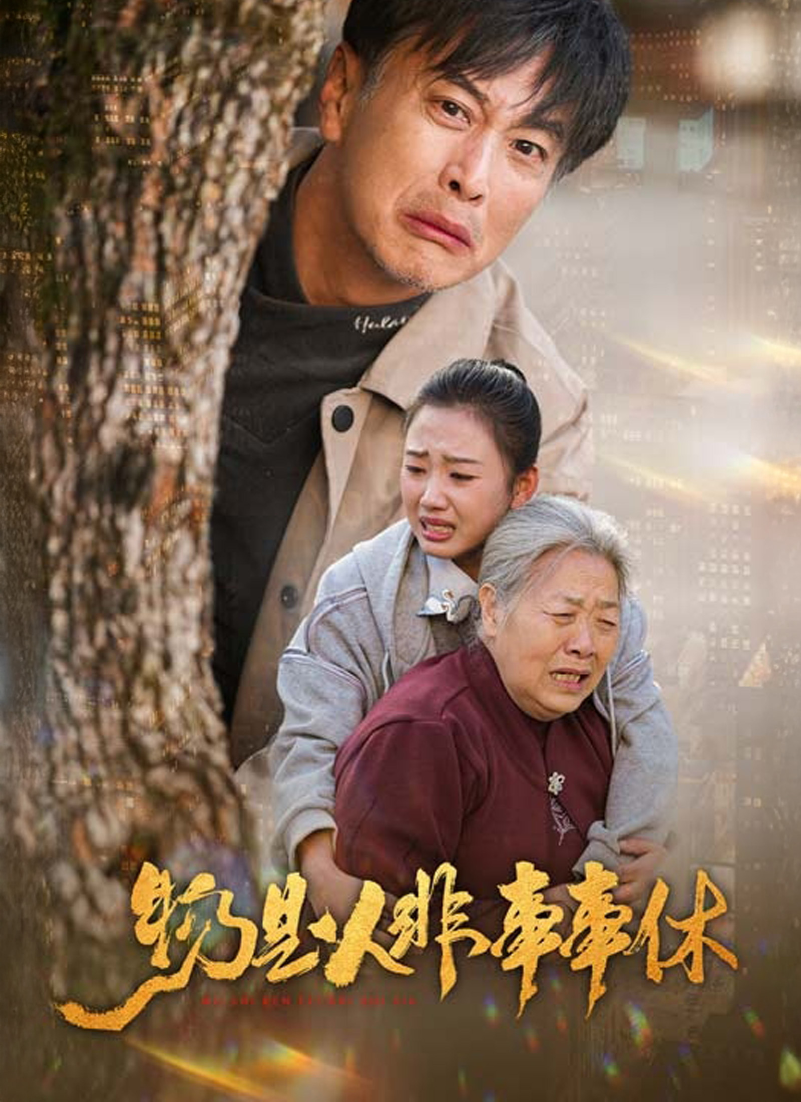 物是人非事事休