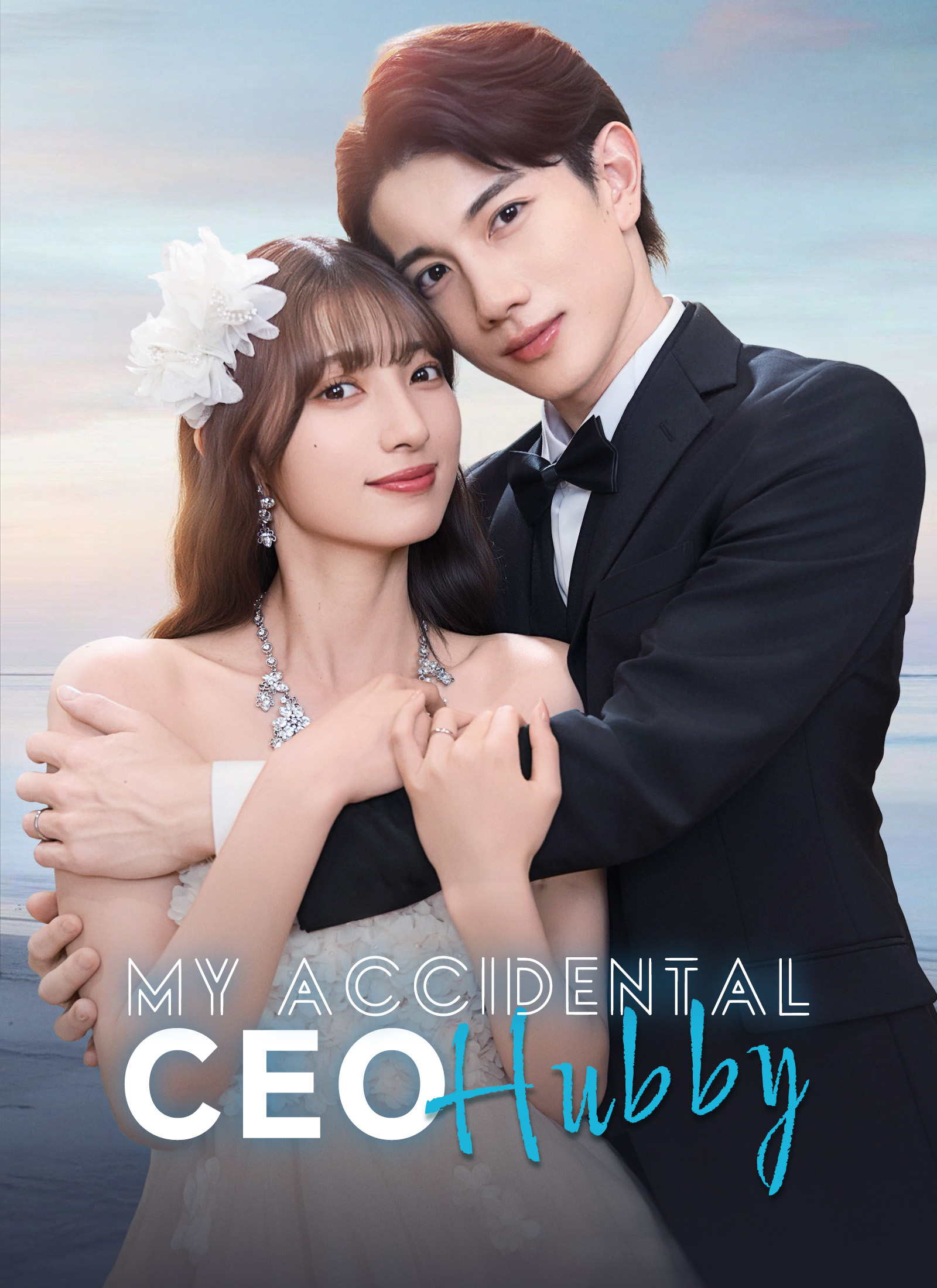 My Accidental CEO Hubby