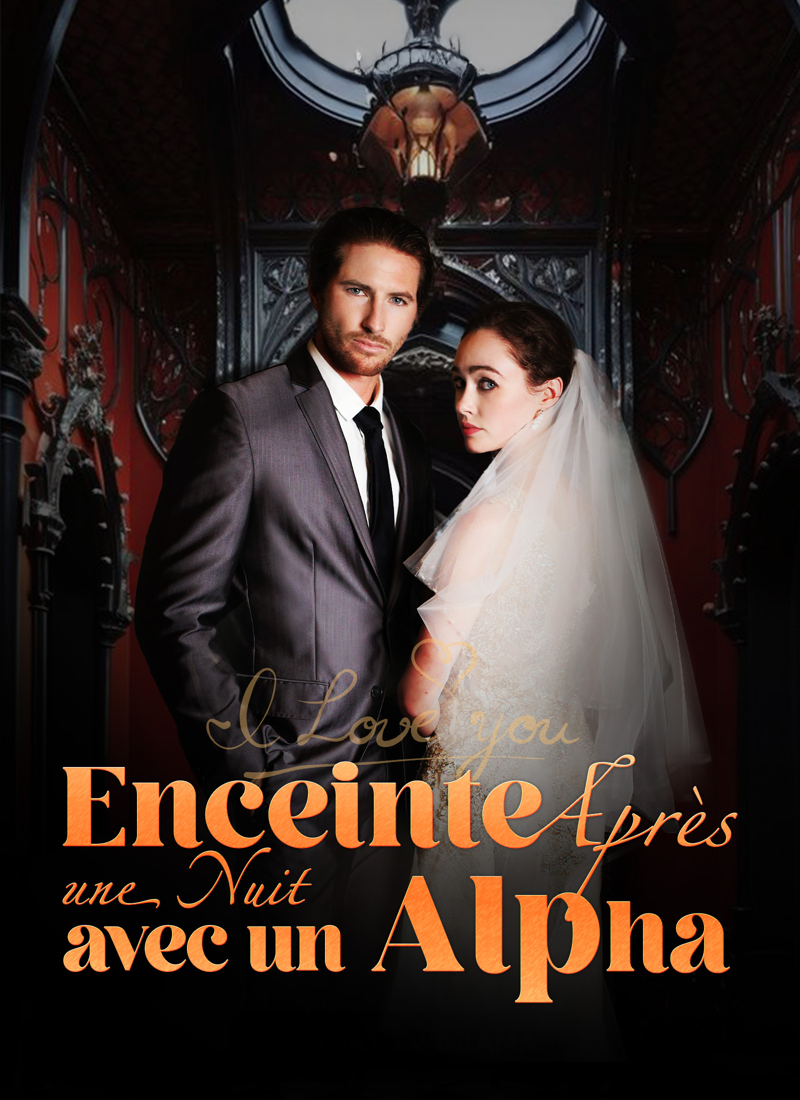 Enceinte Après une Nuit avec un Alpha