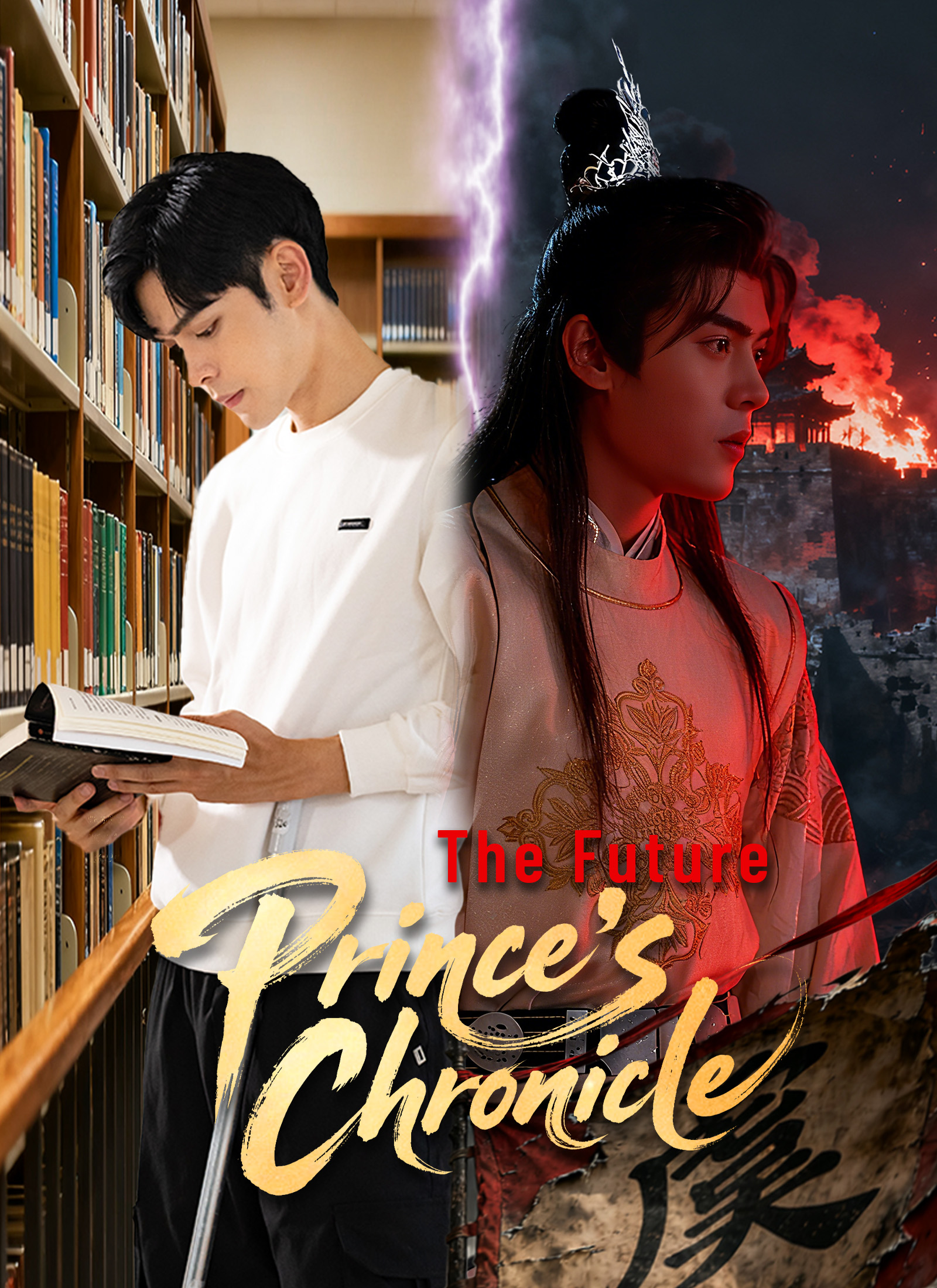 The Future Prince's Chronicle